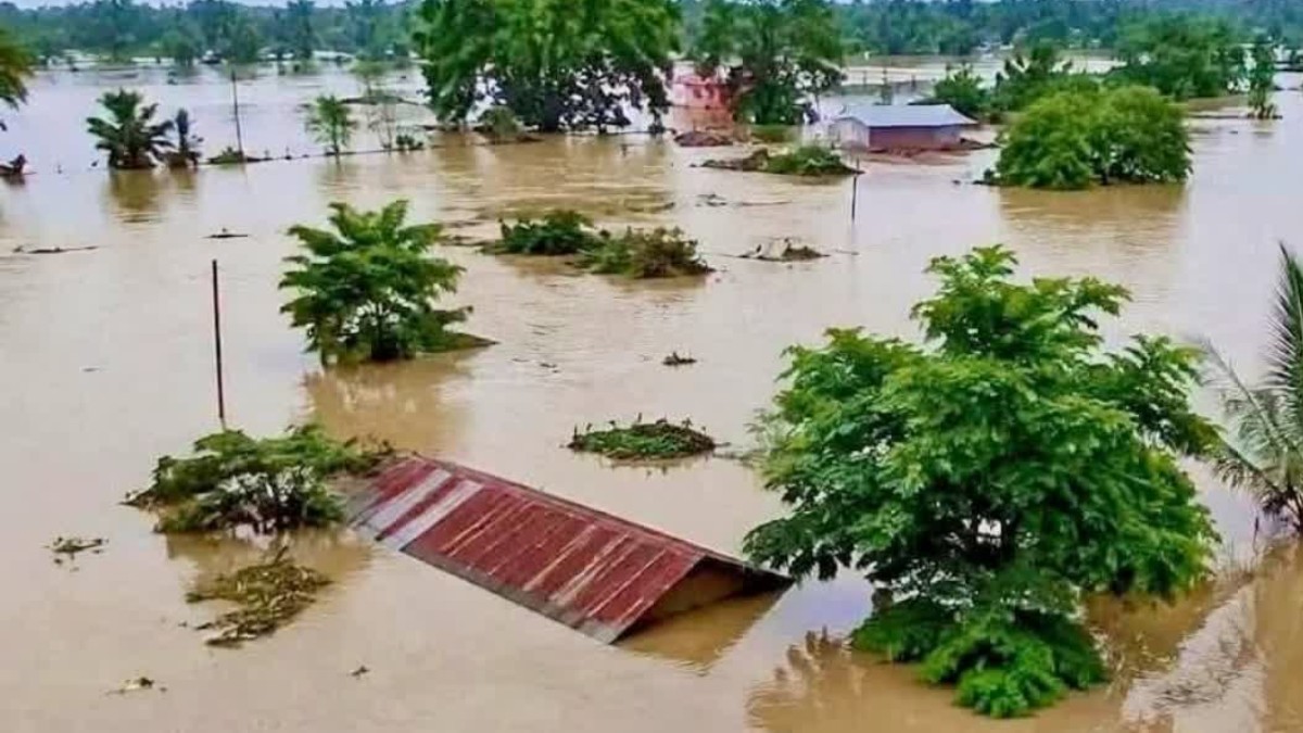 অবিৰাম বৰষুণৰ ফলত প্লাবিত গোলাঘাটৰ এখন কৃষি পথাৰ, বুধবাৰ, ২২ জুলাই, ২০২৬। (পিটিআই)
