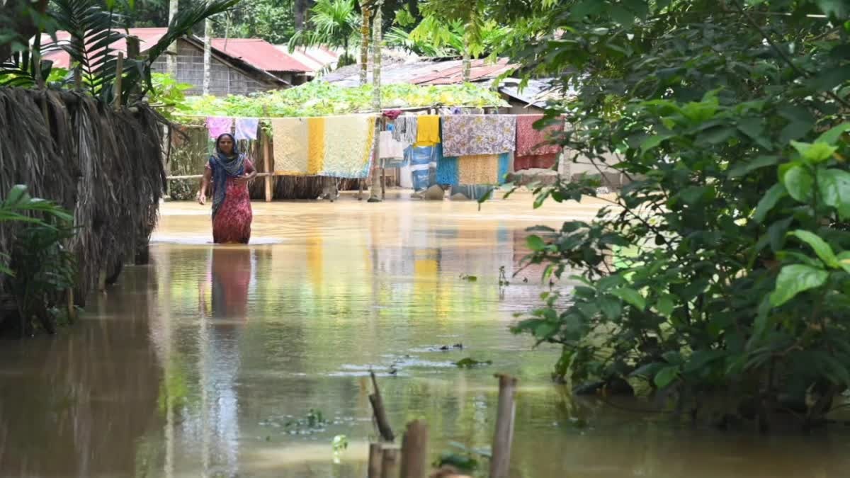 ৰাজ্যৰ বান পৰিস্থিতি কিছু উন্নত: ৫.২৪ লাখ লোক ক্ষতিগ্ৰস্ত, আন ২ জনৰ মৃত্যুৰে মৃতকৰ সংখ্যা ৬৮ লৈ বৃদ্ধি