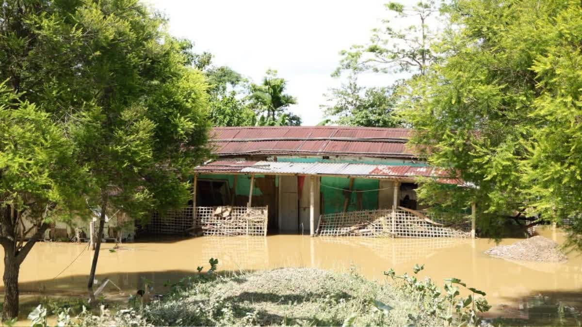 অসমত বানপানীৰ কৱলত এতিয়াও ৩.৩২ লাখ লোক, শিৱসাগৰ আৰু চৰাইদেউত অব্যাহত আছে উদ্ধাৰ অভিযান
