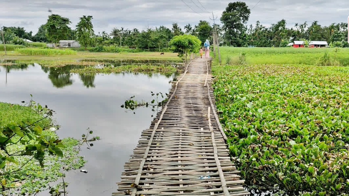 জনপ্ৰতিনিধিৰ আশ্বাস ফুটুকাৰ ফেন ! জৰাজীৰ্ণ বাঁহৰ সাঁকোৰে বিপদসংকুল যাতায়াত