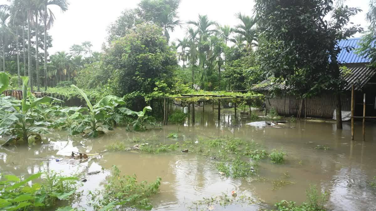 ৰাজ্যত অব্যাহত বানৰ তাণ্ডৱ: শতকৰ ঘৰ অতিক্ৰম কৰি ১০০ জনলৈ বৃদ্ধি পালে মৃতকৰ সংখ্যা, ১.৪ লাখ লোক ক্ষতিগ্ৰস্ত