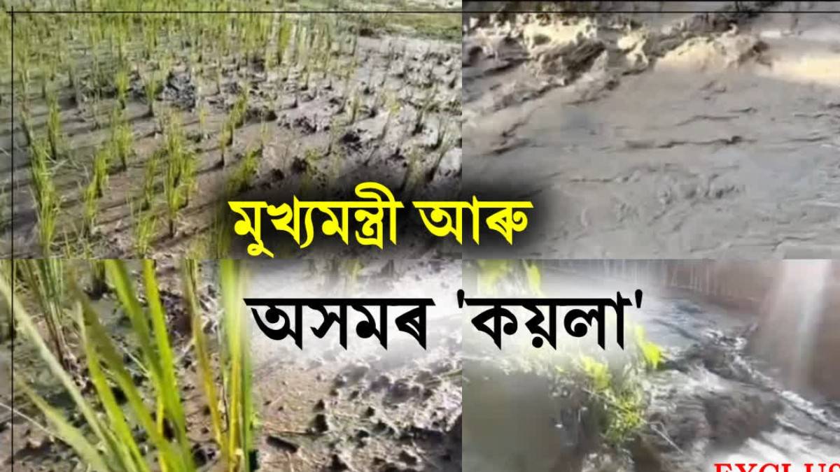 অসমত কয়লা নাই: মুখ্যমন্ত্ৰীৰ মন্তব্যক লৈ সৰৱ দেৱব্ৰত শইকীয়া; বেকাজান নদীত কয়লাৰ অৱশিষ্ট!
