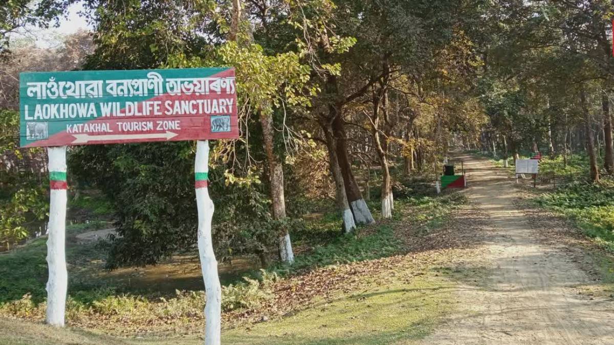 অসমৰ লাওখোৱা বন্যপ্ৰাণী অভয়াৰণ্যত প্ৰথমবাৰৰ বাবে বিৰল পৰিভ্ৰমী স্মিউ পক্ষীৰ আৱিষ্কাৰ