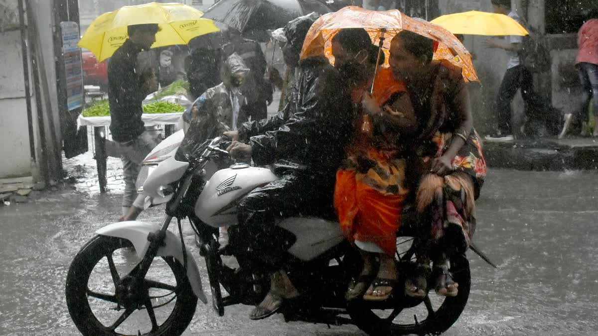 Commuters holding an umbrella ride a bike amid heavy rains in Gujarat. (ANI)