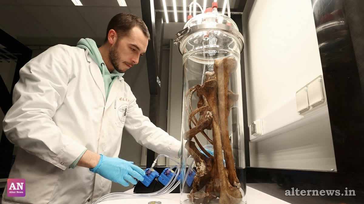 Scientific Breakthrough: Modern human eyes evolved from a 600-million-year-old 'cyclops' ancestor