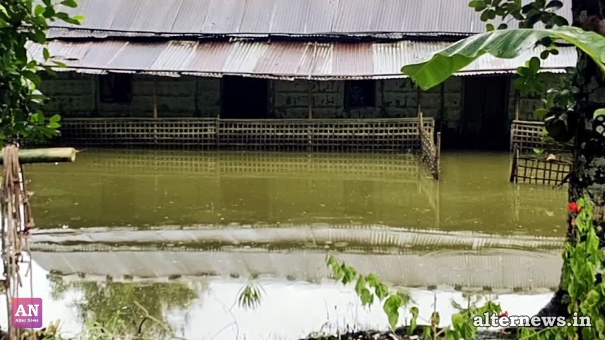 A view of an inundated house as the region faces flooding, in Sivasagar on August 2, 2026 (ANI)