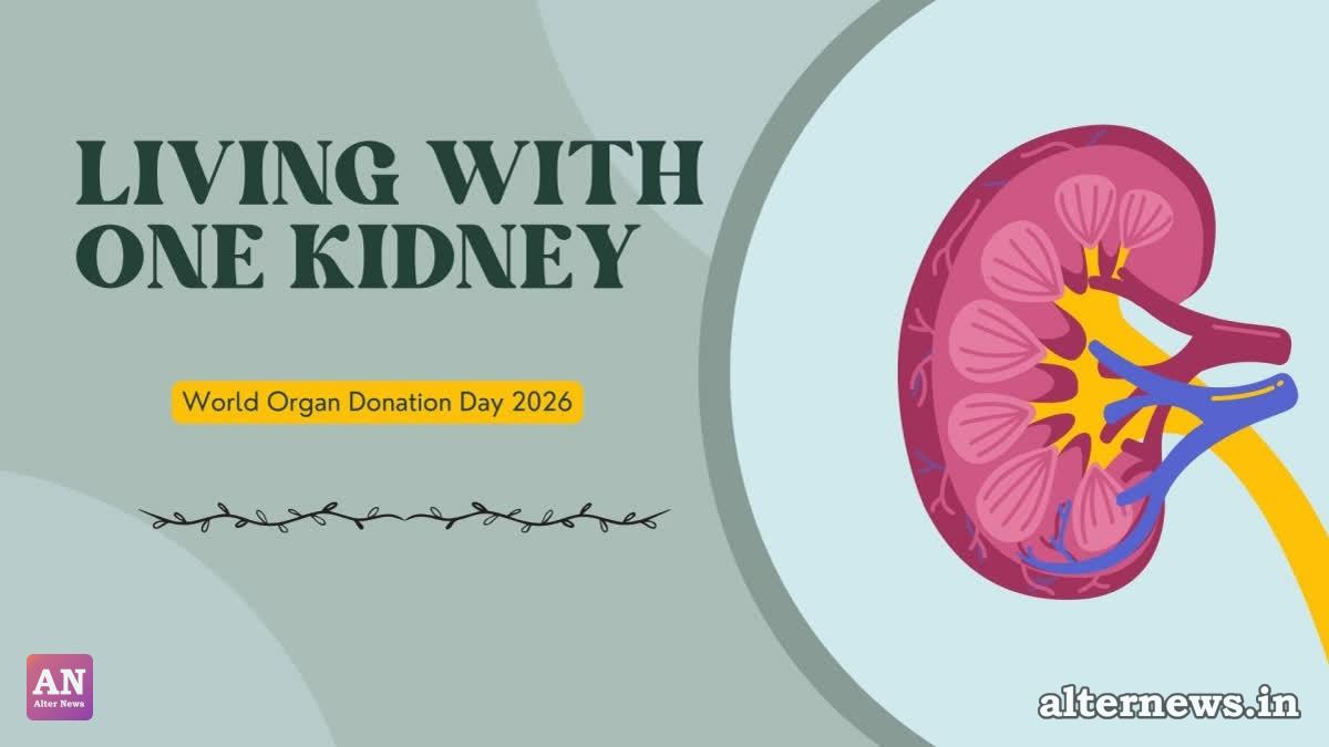 Medical experts dispel myths, revealing donors and recipients can lead active, healthy lives.