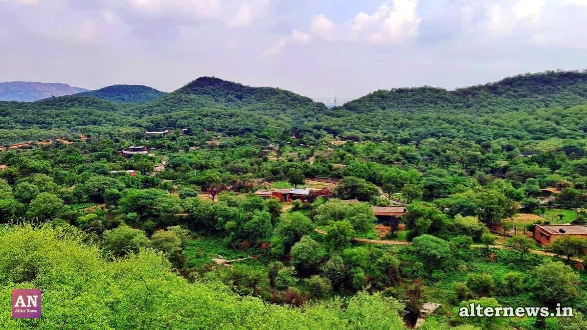 File photo of a scenic view of the Aravalli range in Jaipur. (ANI)