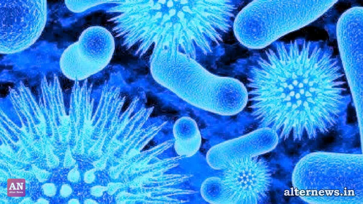 Centre Sends Outbreak Response Team to Probe Chandipura Virus Cases in Gujarat and Rajasthan