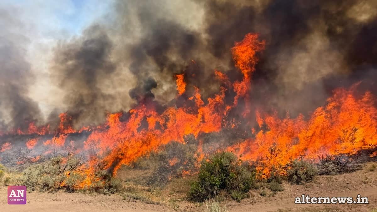 Firefighting Helicopter Crashes in Utah as Oregon Wildfire Claims Dozer Operator's Life