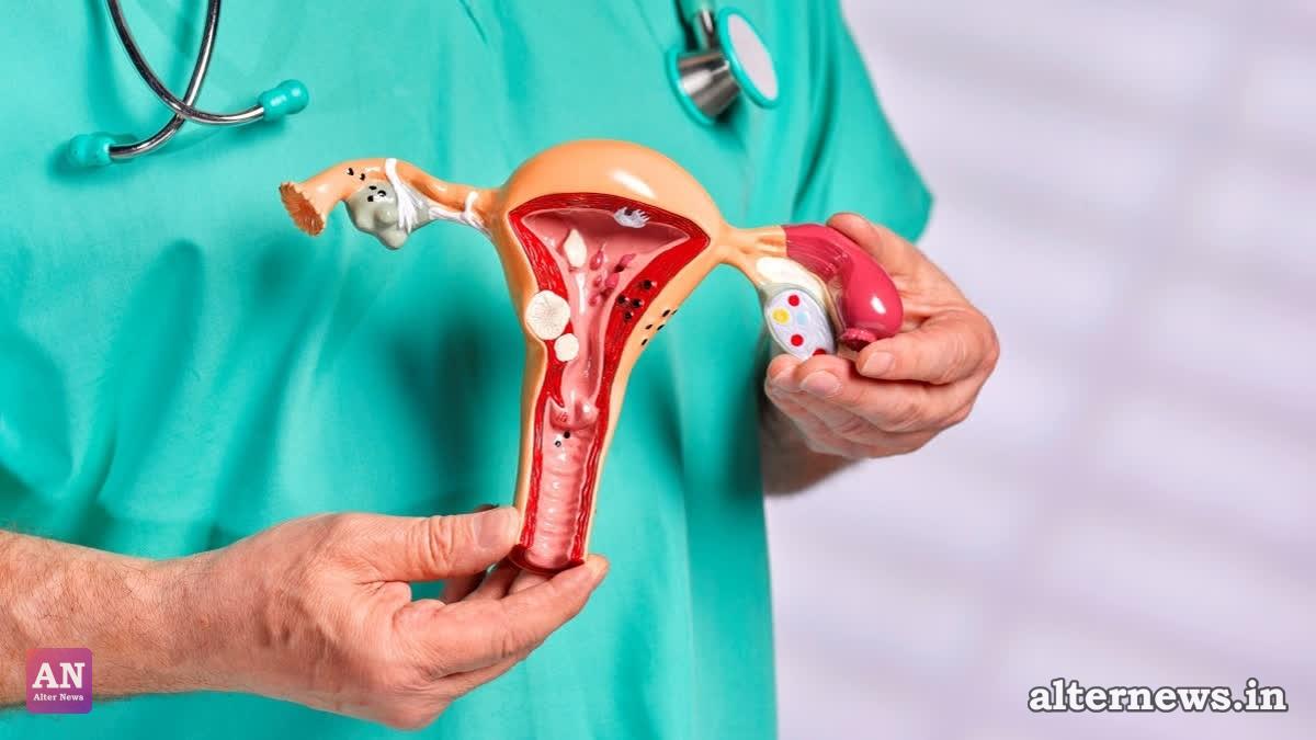 Delhi Man Seeking Infertility Treatment Shocked to Discover He Has a Uterus and Fallopian Tubes