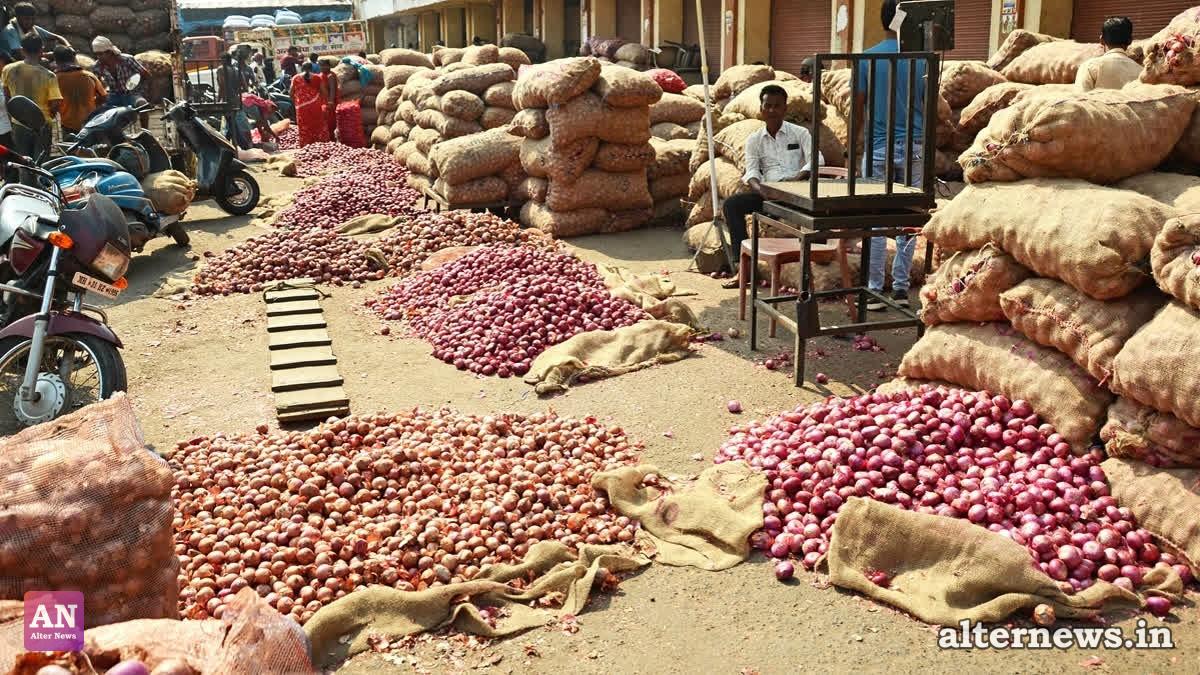 Onion Price Surge Hits Indian Kitchens: Weather Damage and Supply Crunch to Keep Rates High