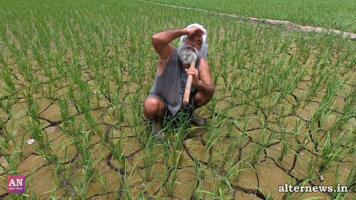 El Nino Heat Forecast: Experts Warn India on Health Readiness, Worker Safety, and Death Count Gaps