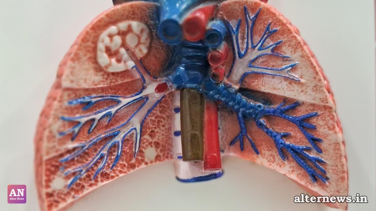 Hidden Dangers in Mosquito Repellents: How Cheap Coils and Incense Sticks Threaten Your Family's Health